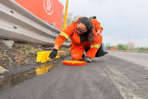 Trabajos de Fidefifa muestran un Nuevo León más limpio rumbo al Mundial 2026