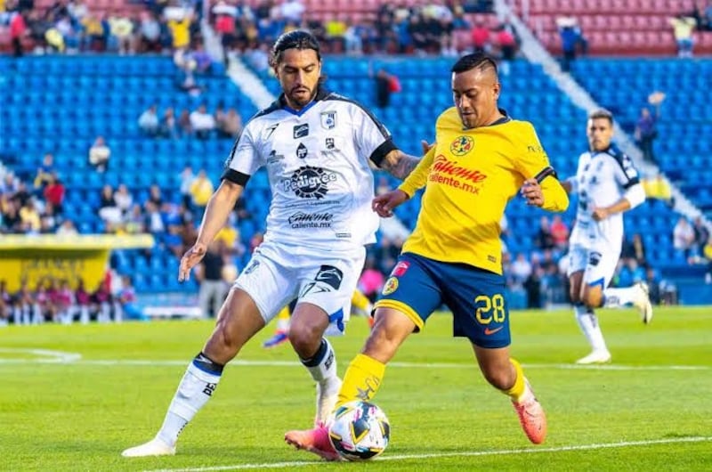 Gallos y América