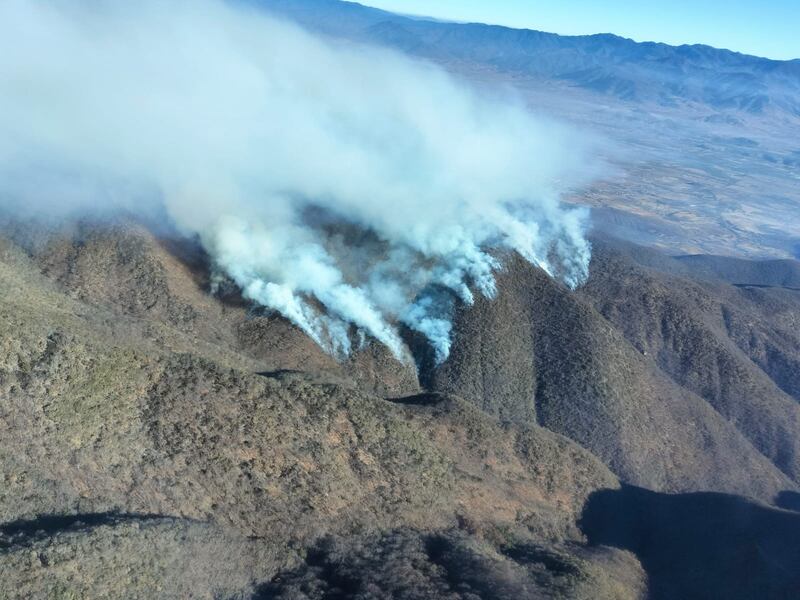 ¿Cómo combaten los incendios forestales en Oaxaca?