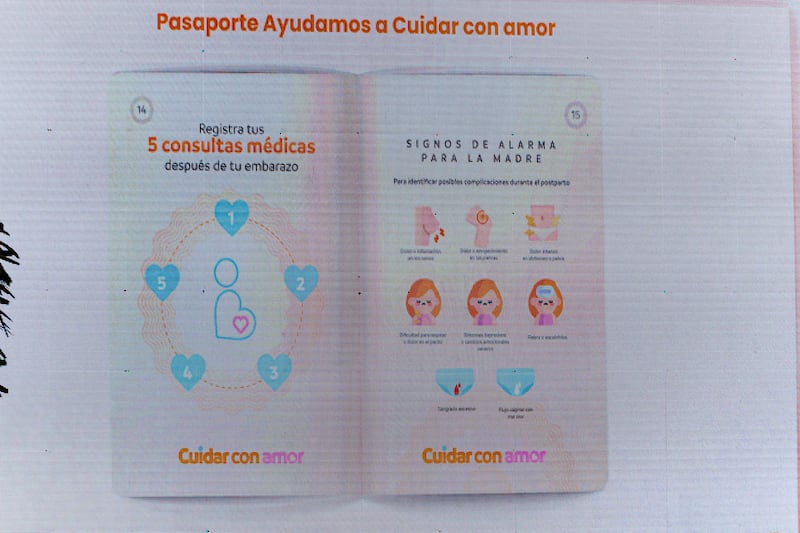 El pasaporte contendrá información importante sobre la salud de la futura mamá.