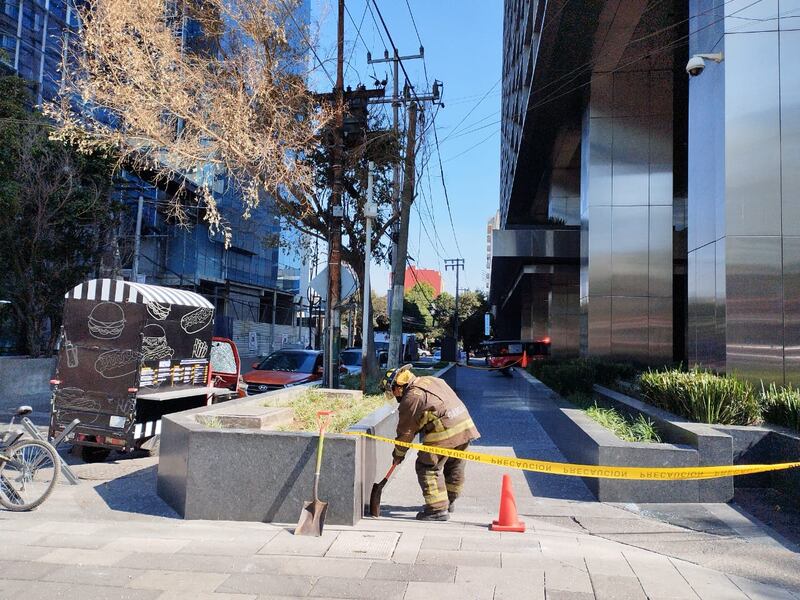 Peregrinaciones: copetón rompe cristal de edificio en Insurgentes