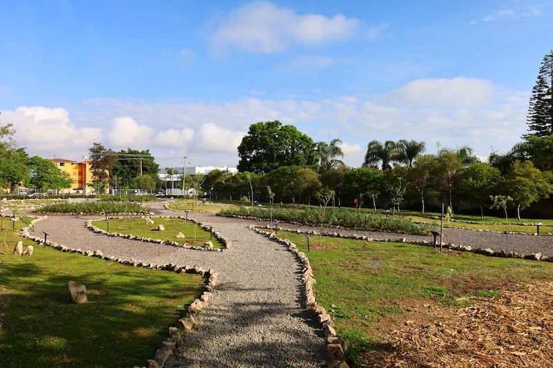 Estos espacios contribuyen a la restauración ecológica y mejoran la calidad del aire en Guadalajara. ESPECIAL/ GOBIERNO DE JALISCO