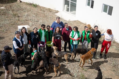¿Muertes y maltrato animal? La versión de la Fiscalía CDMX sobre el Refugio Franciscano