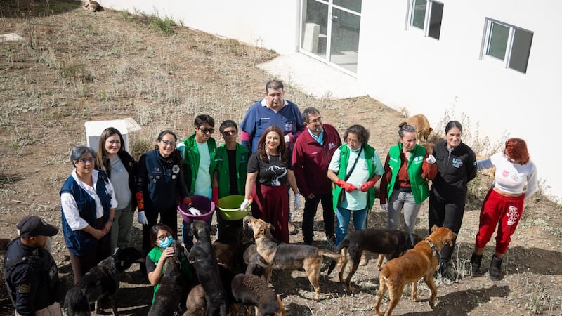 ¿Muertes y maltrato animal? La versión de la Fiscalía CDMX sobre el Refugio Franciscano