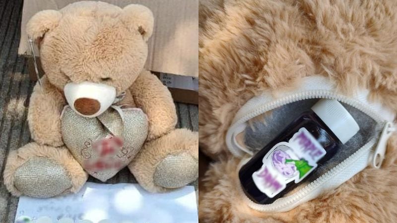 Oso de peluche con droga es asegurado por GN en Culiacán