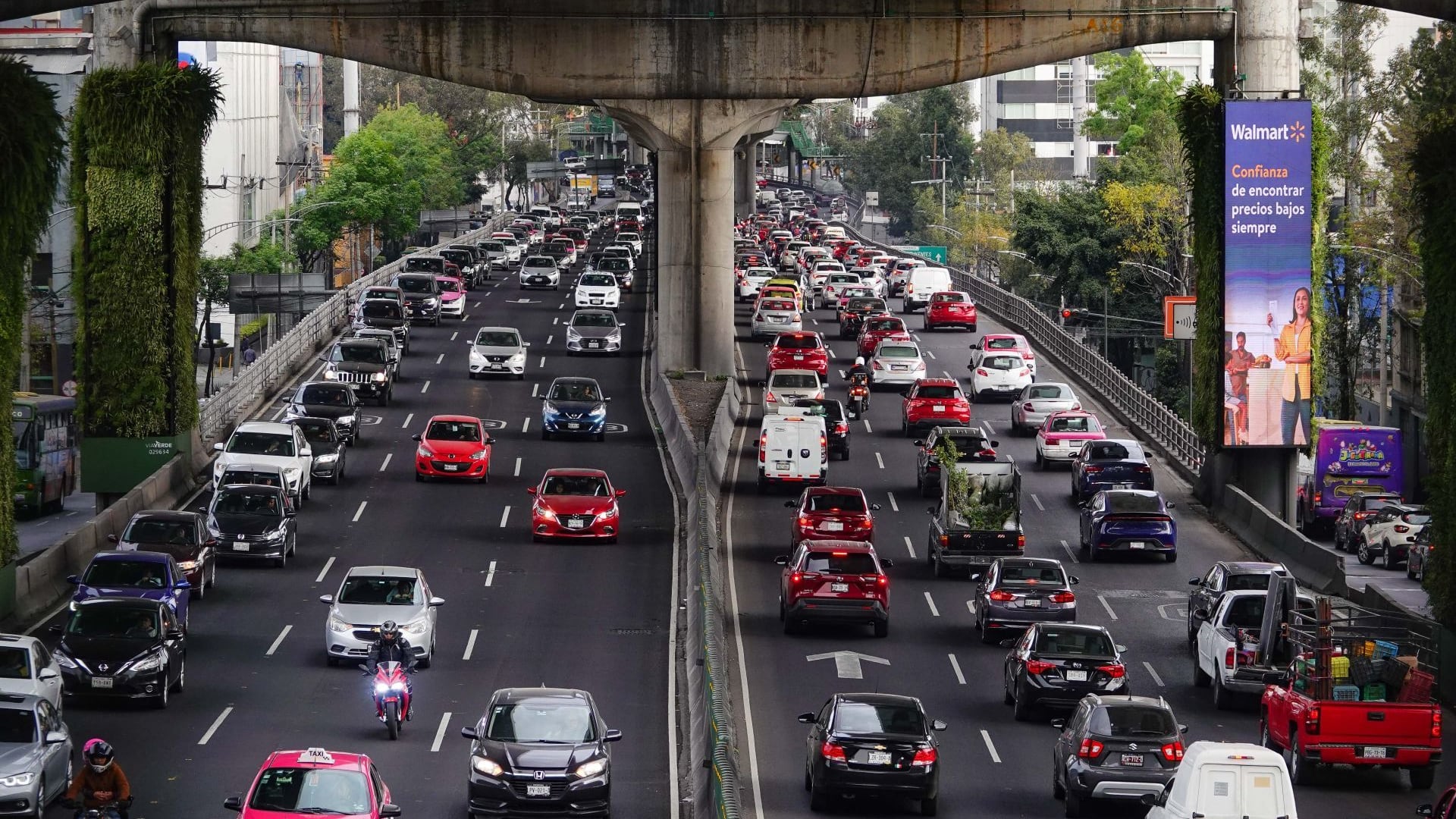 Hoy No Circula del viernes 8 de noviembre de 2024 en CDMX y Edomex