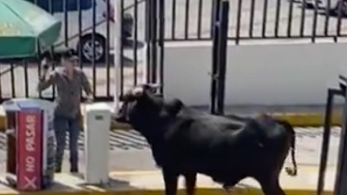 Fue captado en el estacionamiento de la institución educativa.  (Especial)