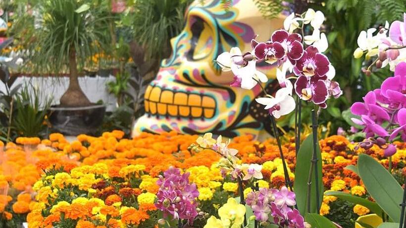 Festival de las Flores de Cempasúchil