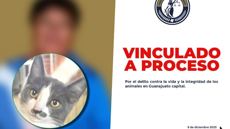 Gary, el gato, fue asesinado por el exfuncionario público de la capital de Guanajuato.