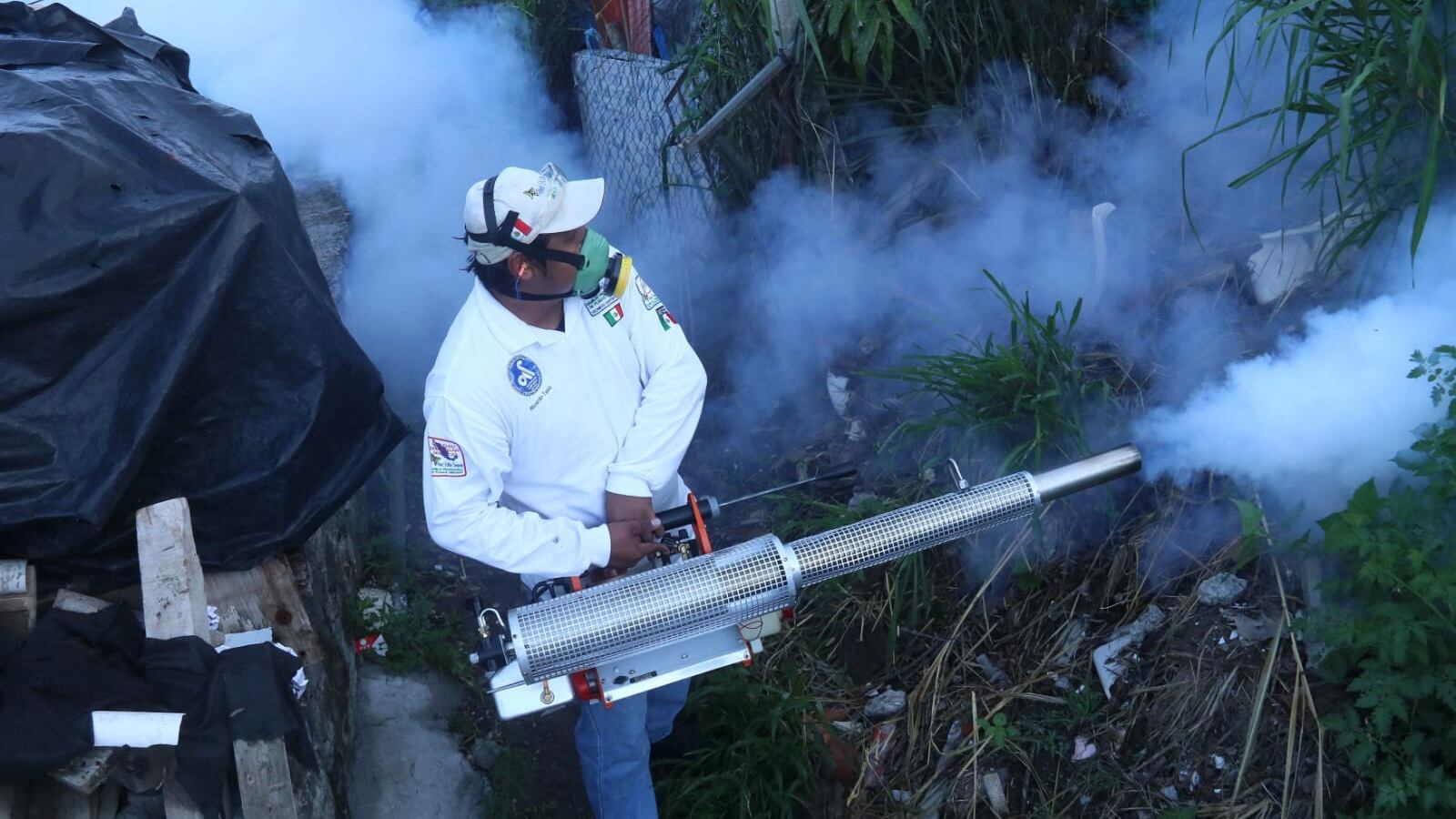 La fumigación sigue siendo importante para combatir al mosquito transmisor.