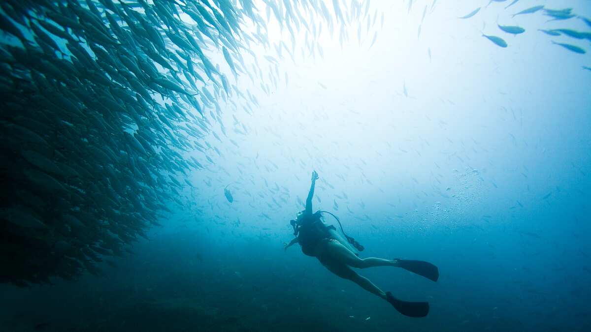 12 experiencias imperdibles por hacer en Los Cabos