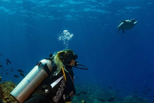 Panamá de Noche: Bioluminiscencia, safaris nocturnos y anidación de tortugas