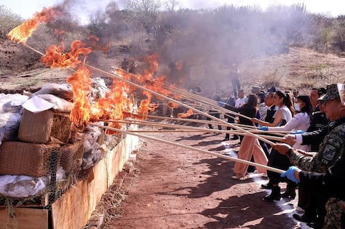 Queman en Guanajuato droga y destruyen armas para “cerrar ciclos del crimen”: Libia Denisse