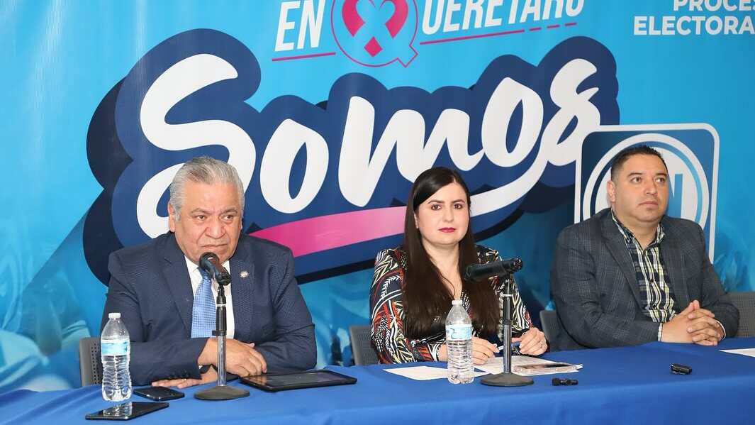 En 9 van solos y en las restantes van en alianza | Cortesía