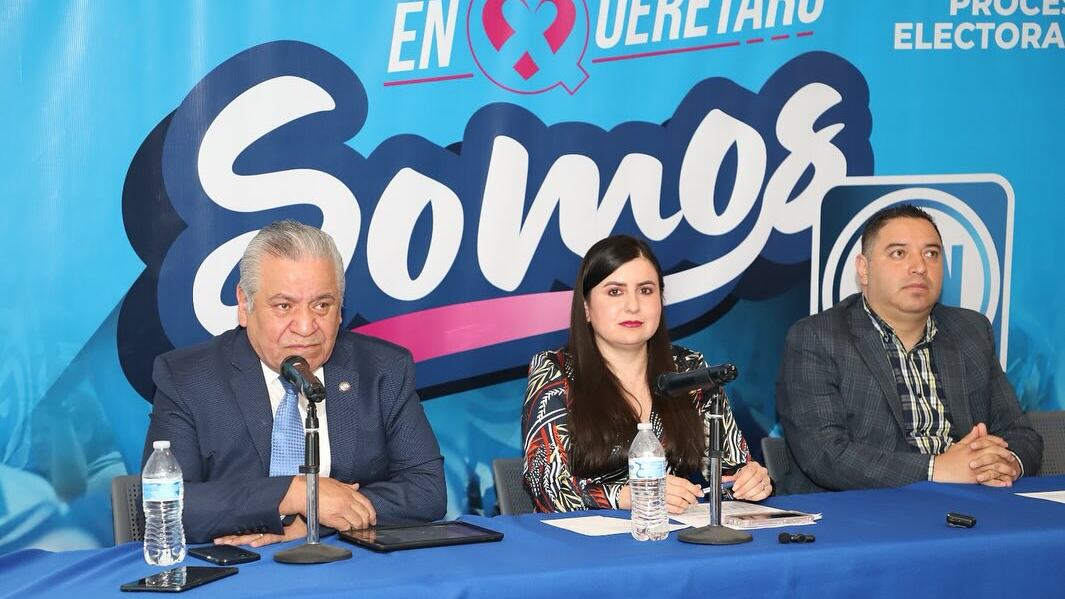 En 9 van solos y en las restantes van en alianza | Cortesía