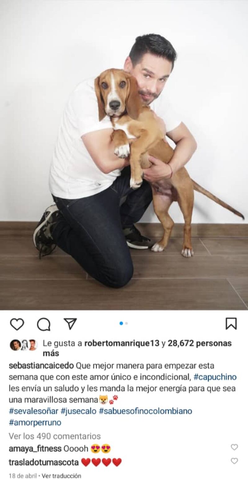 Carmen Villalobos se quedó con Capuchino, el tierno perro que compartía con Sebastián Caicedo