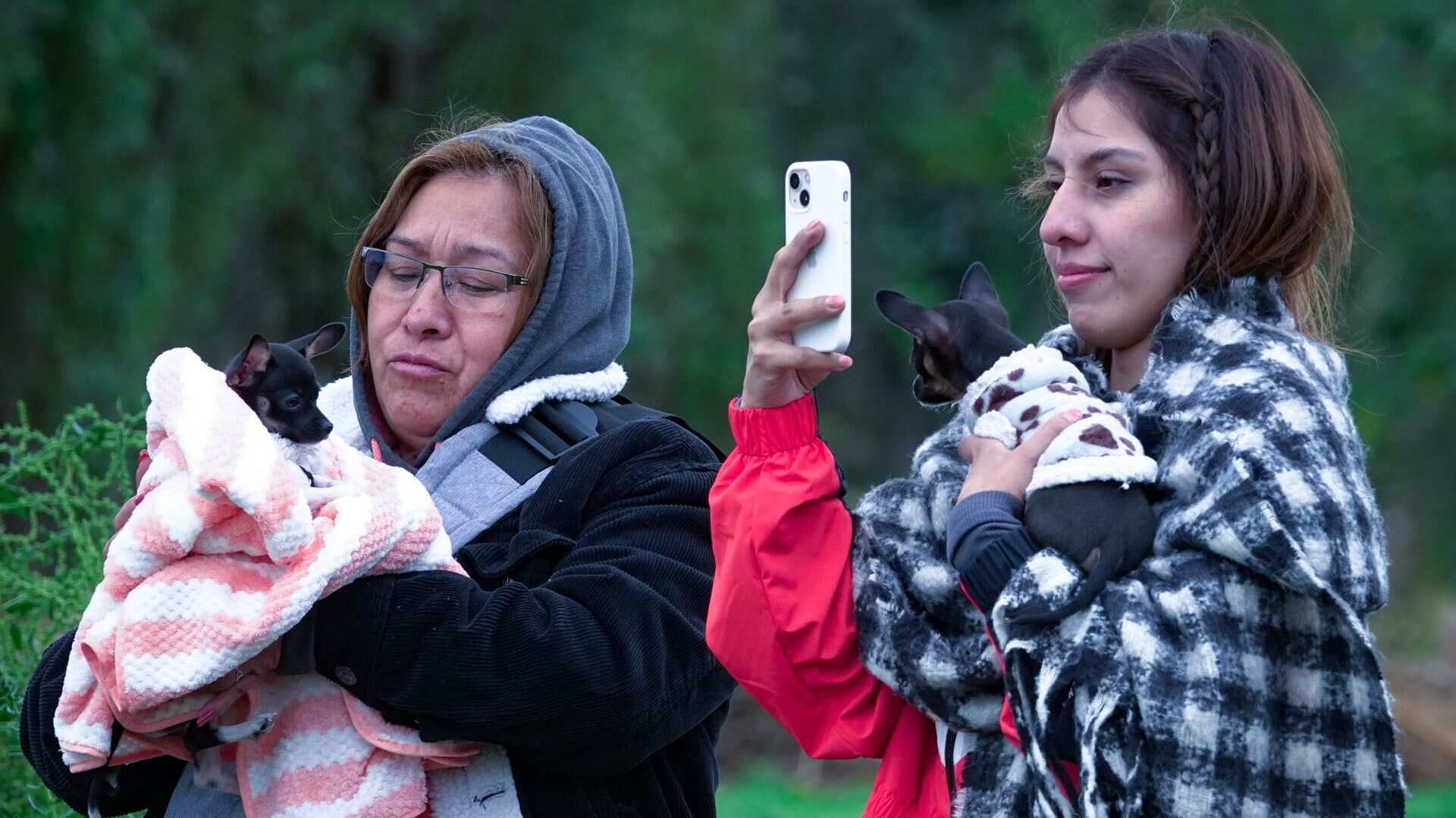 Pronóstico del clima del lunes 20 de enero 2025 en CDMX y Edomex