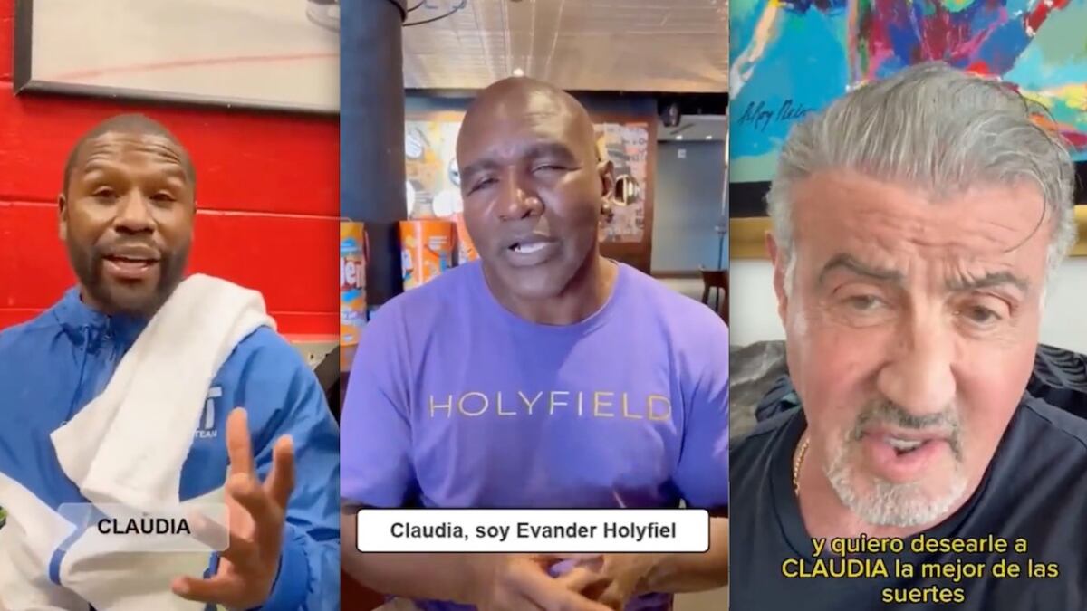 Mayweather-Holyfield-Stallone