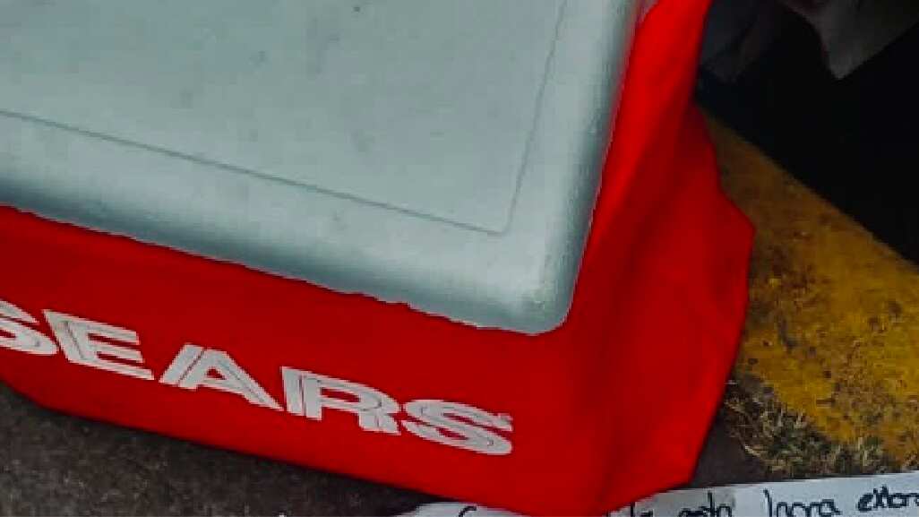 Hielera en la que fue hallada una cabeza humana en la alcaldía GAM.