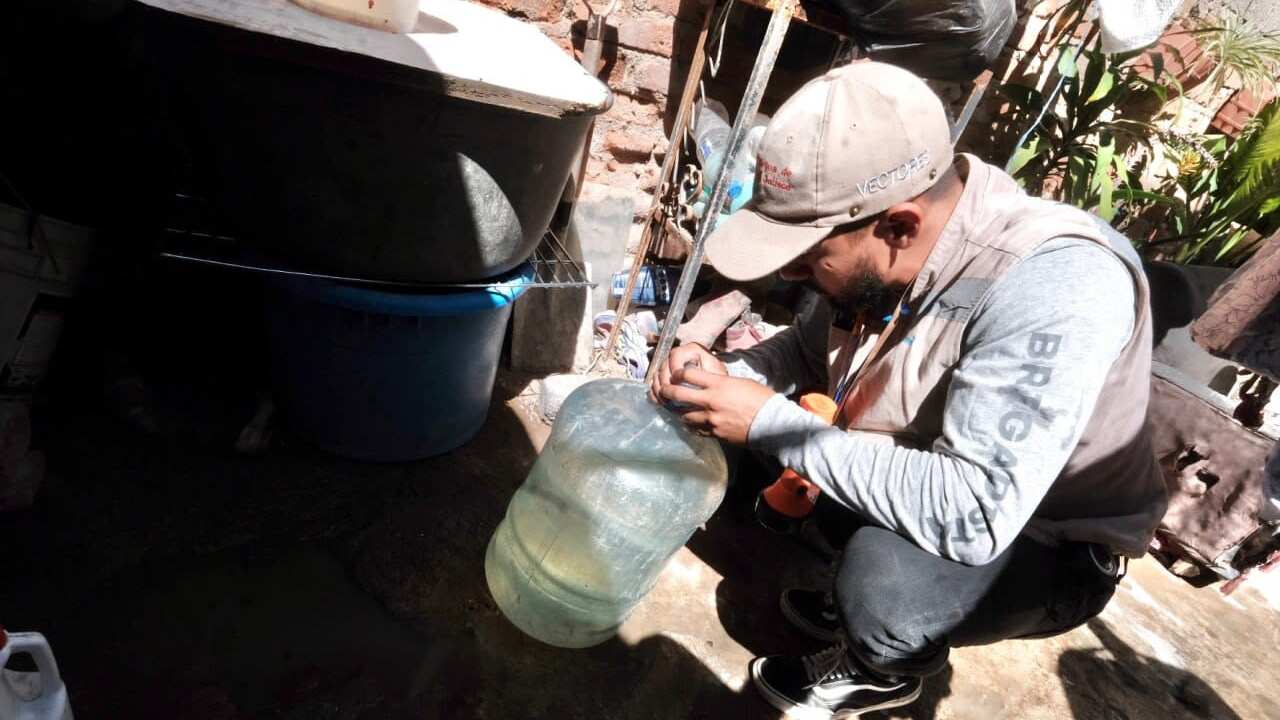 Brigada contra el dengue por parte de la Secretaría de Salud Jalisco. Foto: Cuenta X (@EnriqueAlfaroR)