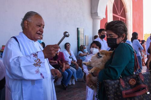 Esta es la razón por la que bendicen a las mascotas en el Día de San Francisco de Asís