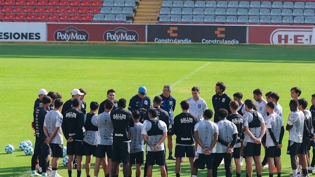 Gallos llega encendido al Clausura 2026: Ávila y Coronel prometen un equipo ofensivo