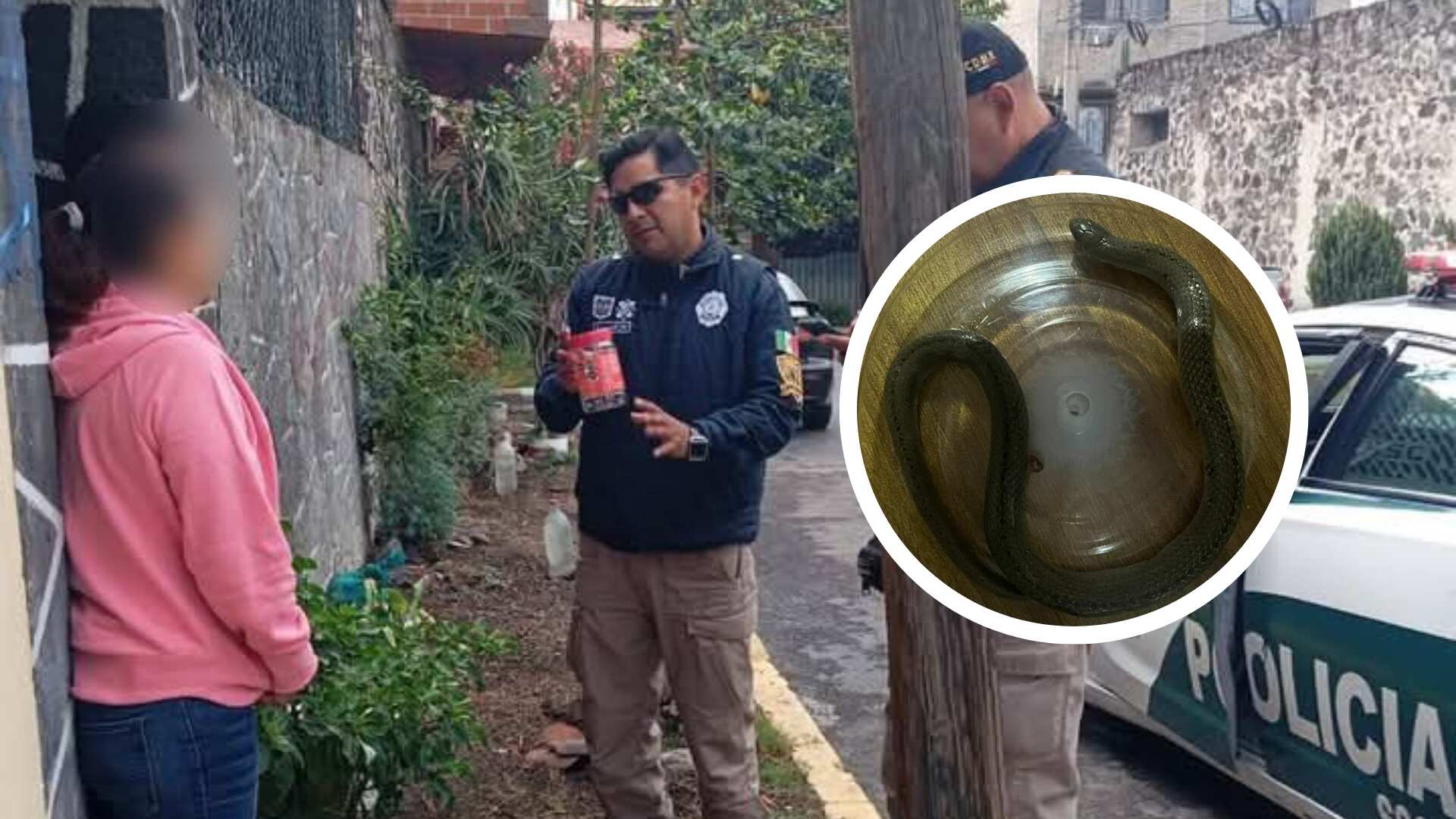 Encuentran serpiente en Xochimilco