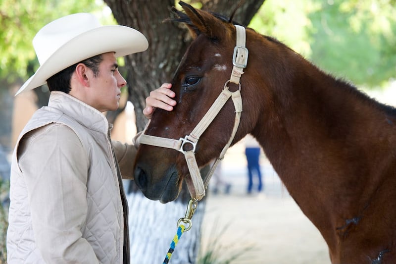 Mike Flores crea santuario para caballos rescatados que busca convertirse en el más grande de Latinoamérica
