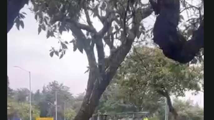 Camión militar en CU