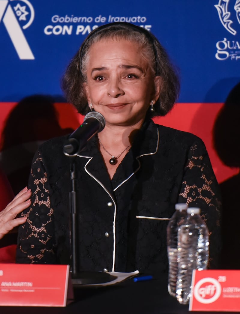 Carlos Carrera, Ana Martín y Verónica Castro serán homenajeados en Guanajuato