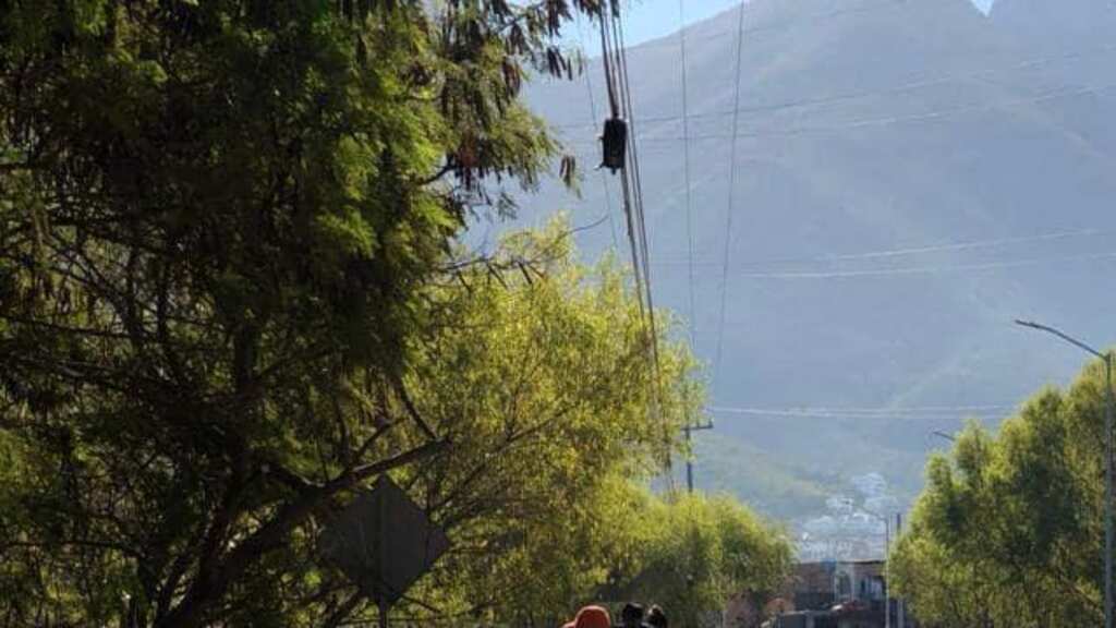 La calidad del aire mejoró