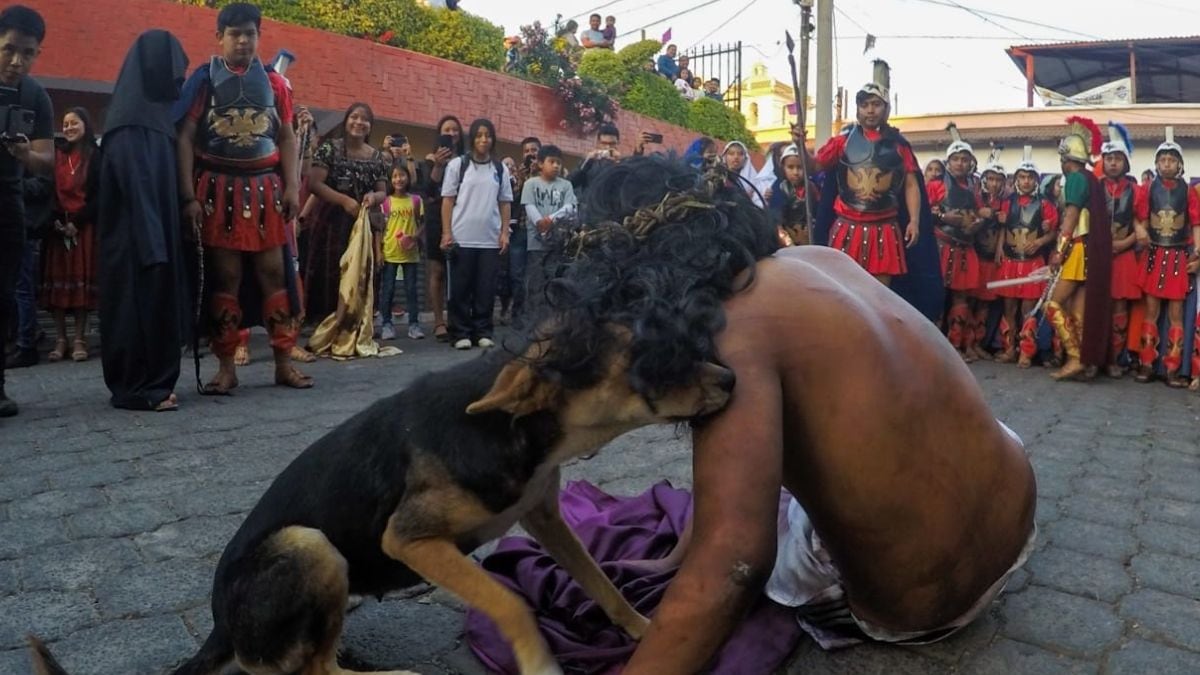 Semana Santa: Perro callejero consuela al actor que interpretó a Jesús en La Pasión de Cristo