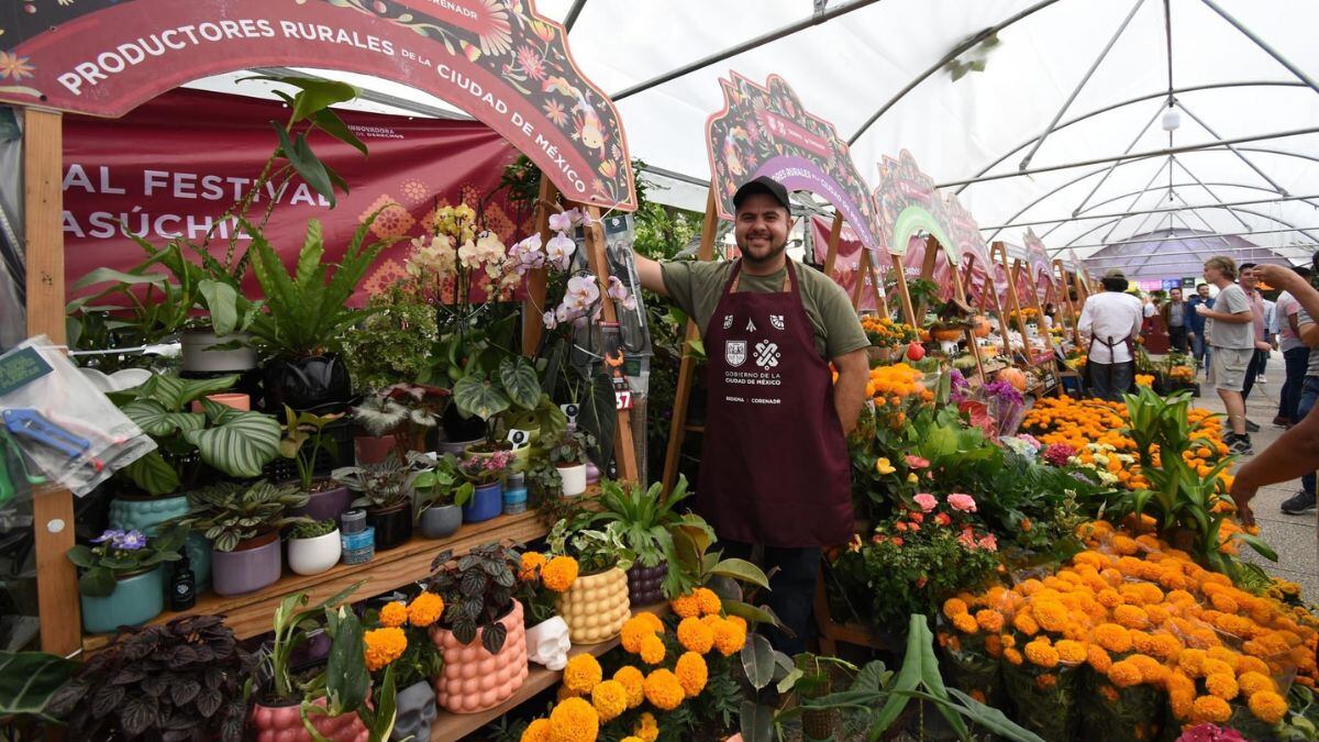 Festival de Flores de Cempasúchil en Reforma: Todo lo que debes saber para Día de Muertos