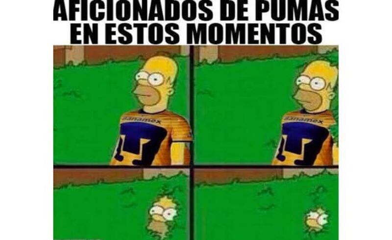 Redes Sociales