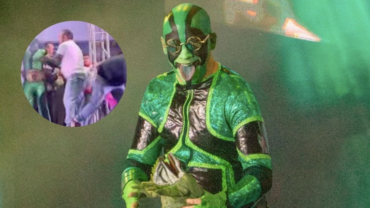 Un fan cayó de las gradas al intentar tomarse un selfie con el luchador