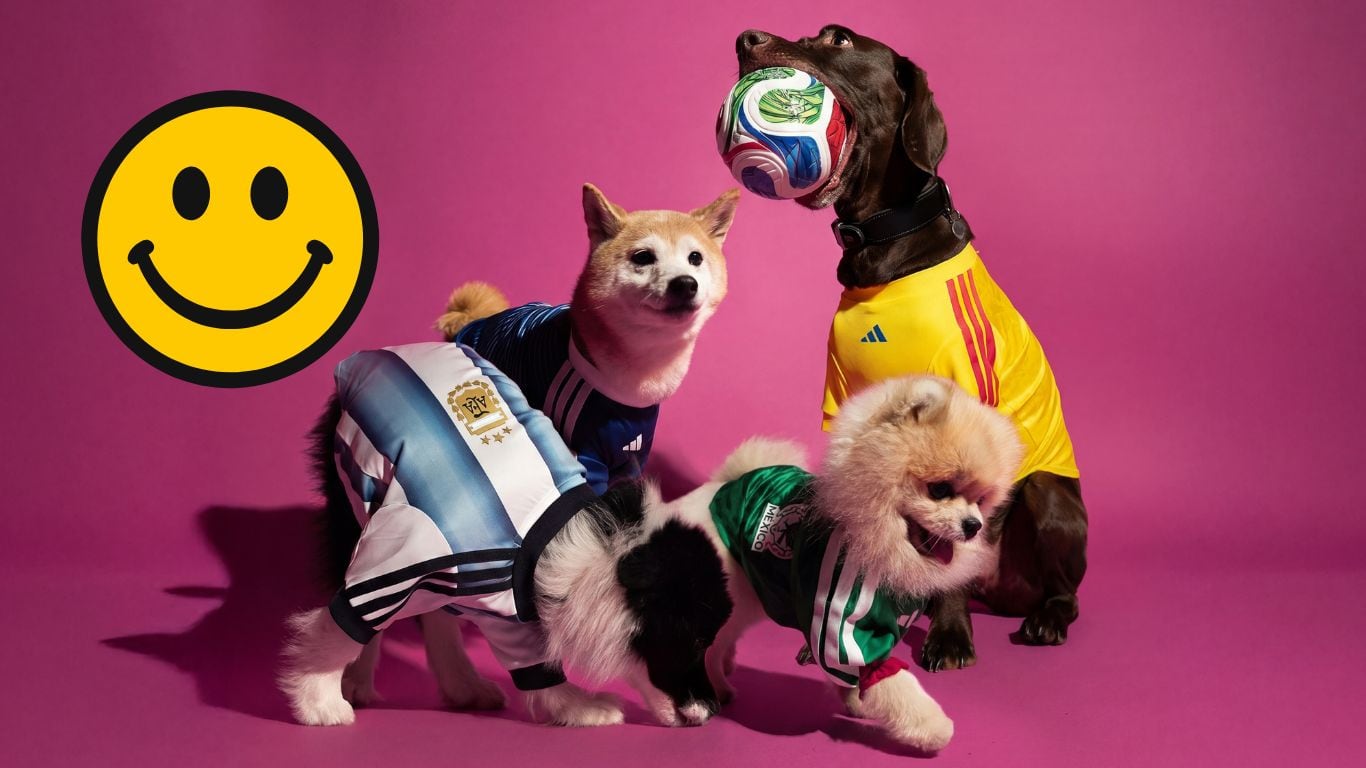 Playeras oficiales para mascotas