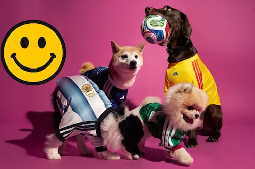Lanzan camisetas oficiales del Mundial 2026 para mascotas