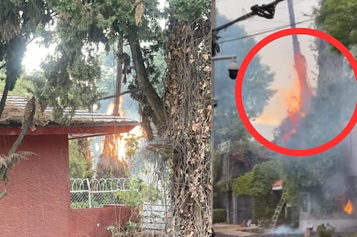 ¡Insólito! Así quedaron las palmeras incendiadas tras la caída de un rayo en CDMX