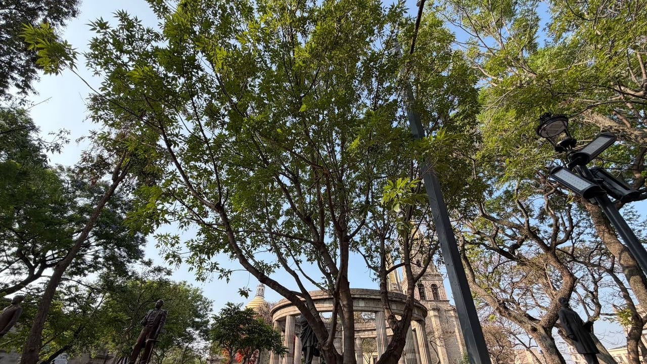 CORTESÍA/ GOBIERNO DE GUADALAJARA
