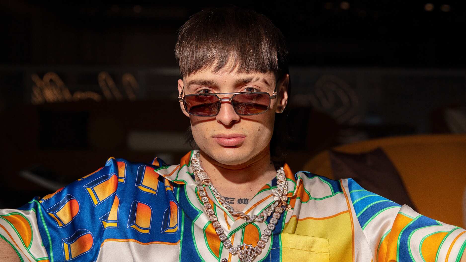 Las mascotas también llevan su estilo de cabello