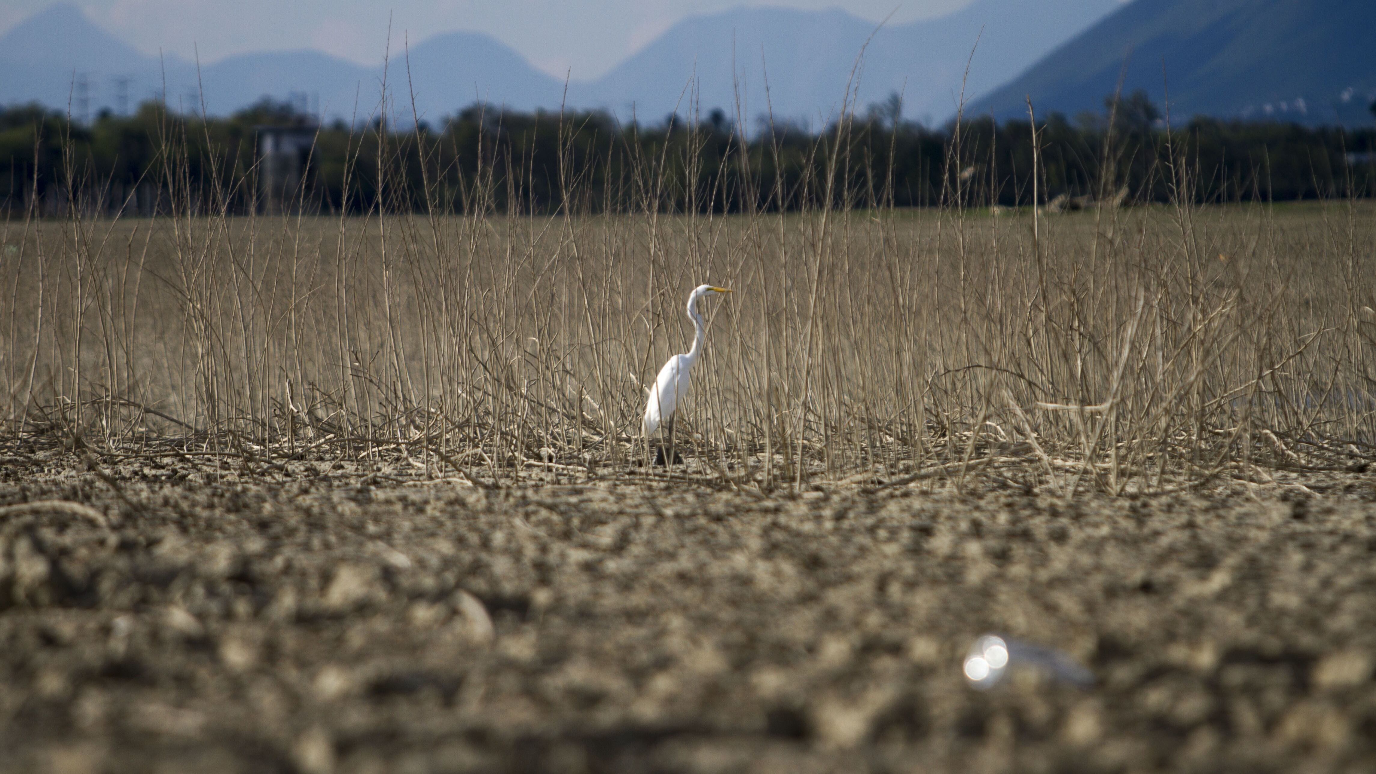 Los candidatos al Senado propusieron, desde mediados de marzo, la tecnificación del riego.