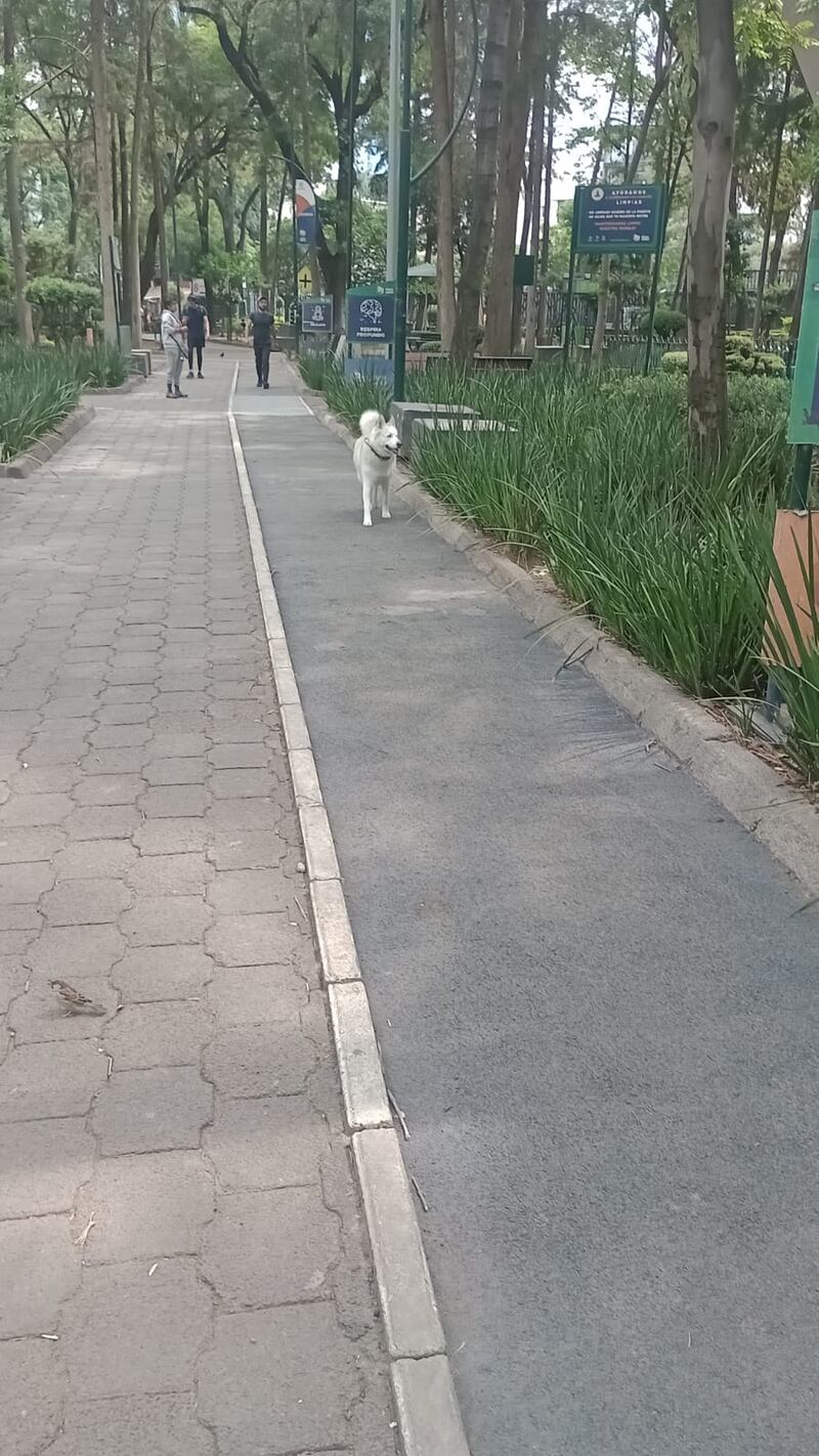 Parque Nápoles