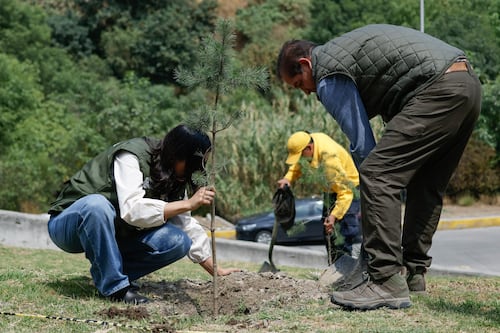 Armenta propone incluir gobierno bioético en la Constitución de Puebla