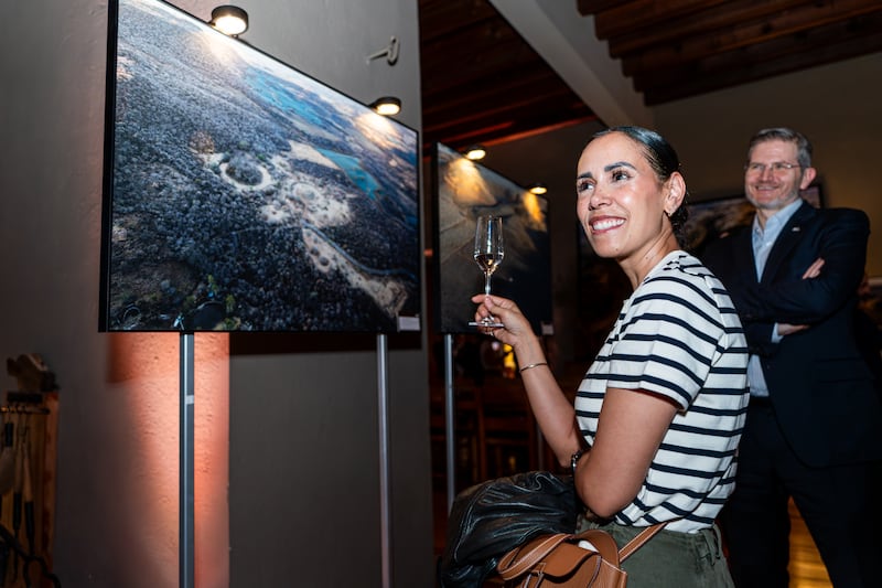 santiago_arau_canchas_exposicion_foto_mundial