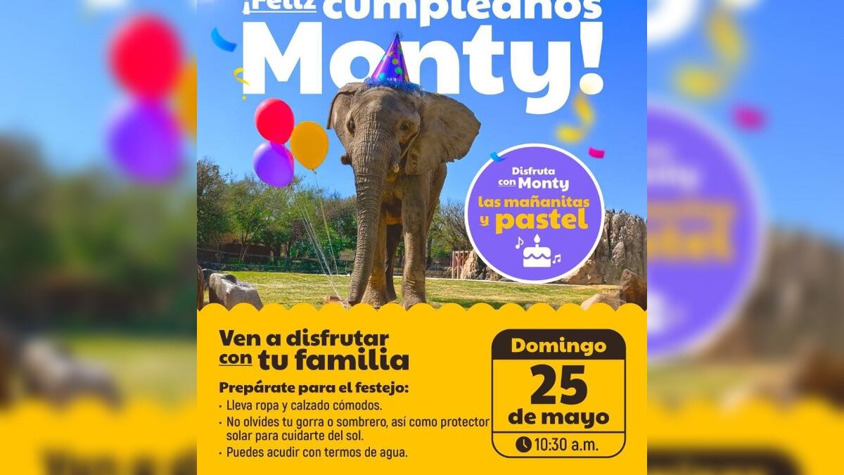 La fiesta de Monty será el domingo a las 10:30 horas.
