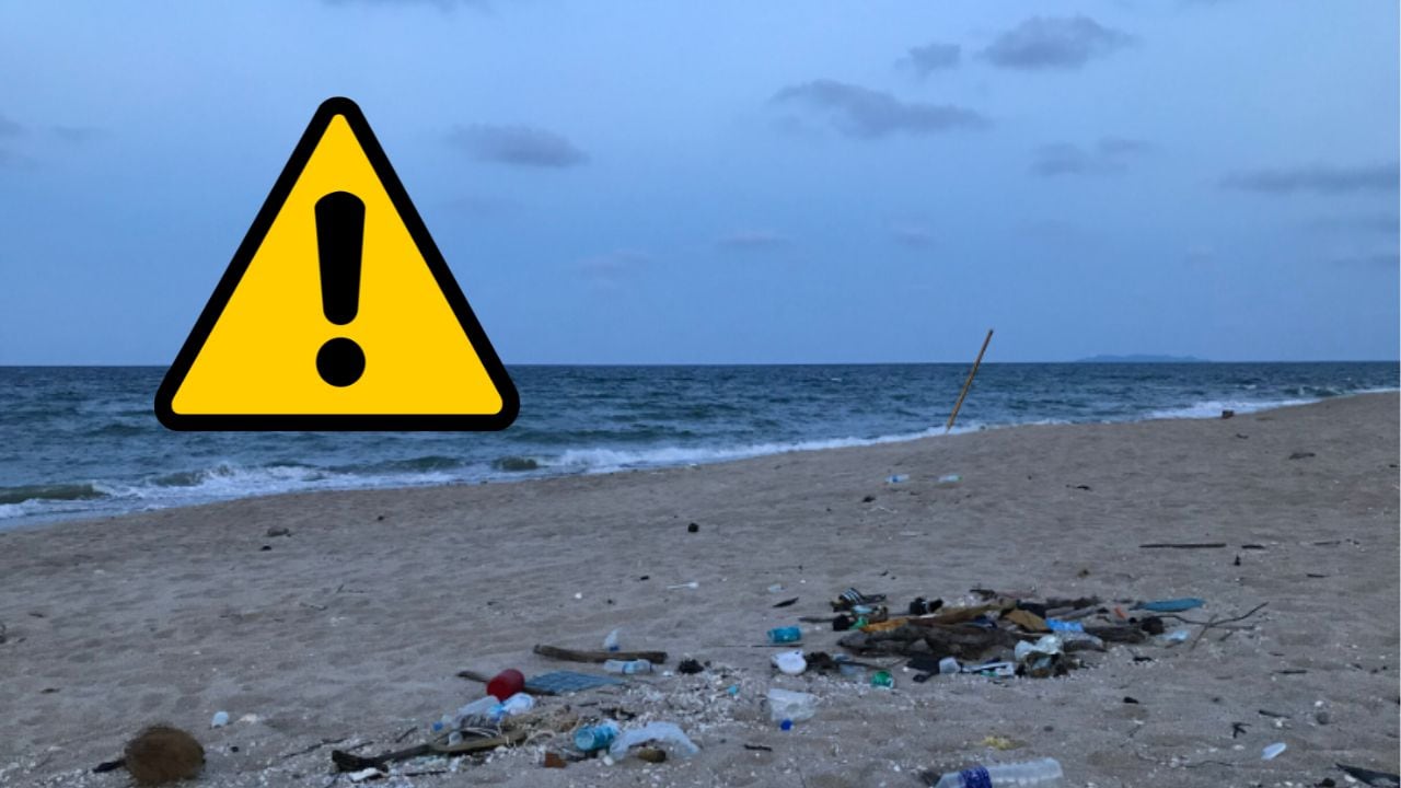 Playas contaminadas para Semana Santa 2026