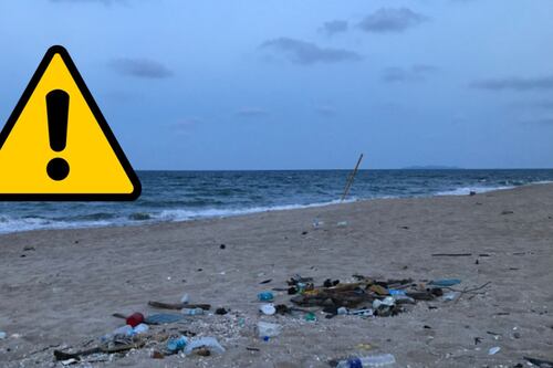 Semana Santa 2026: conoce las playas contaminadas no aptas para nadar en México