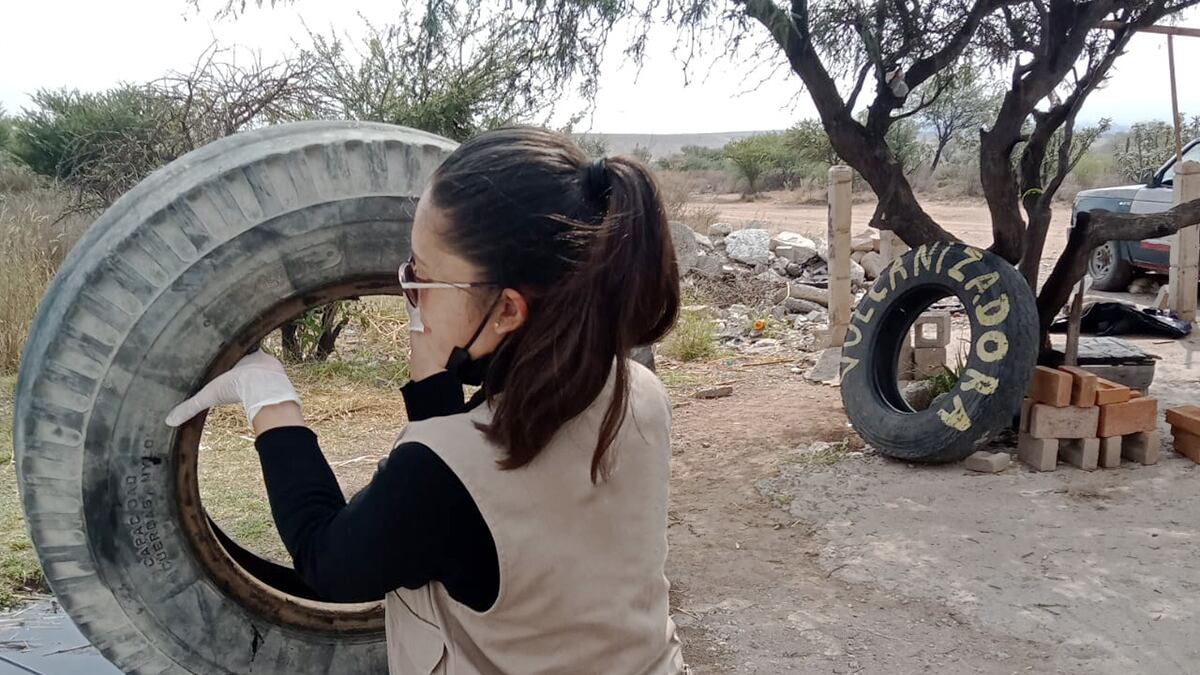 Eliminar llantas, una estrategia contra el dengue.