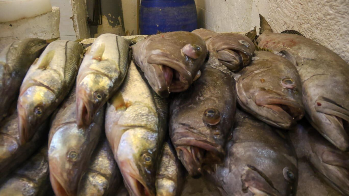 El precio del pescado puede variar entre los 70 y los 100 pesos.