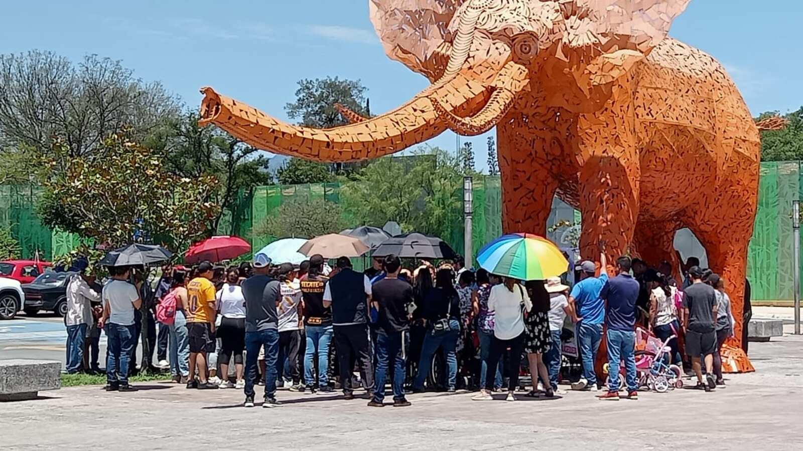 Este domingo se celebraron los 17 años del elefante Monty por grupos de activistas.